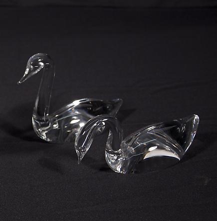 Pair of Swans 1